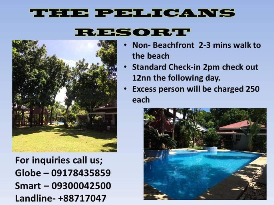 The Pelicans Resort Батангас Экстерьер фото